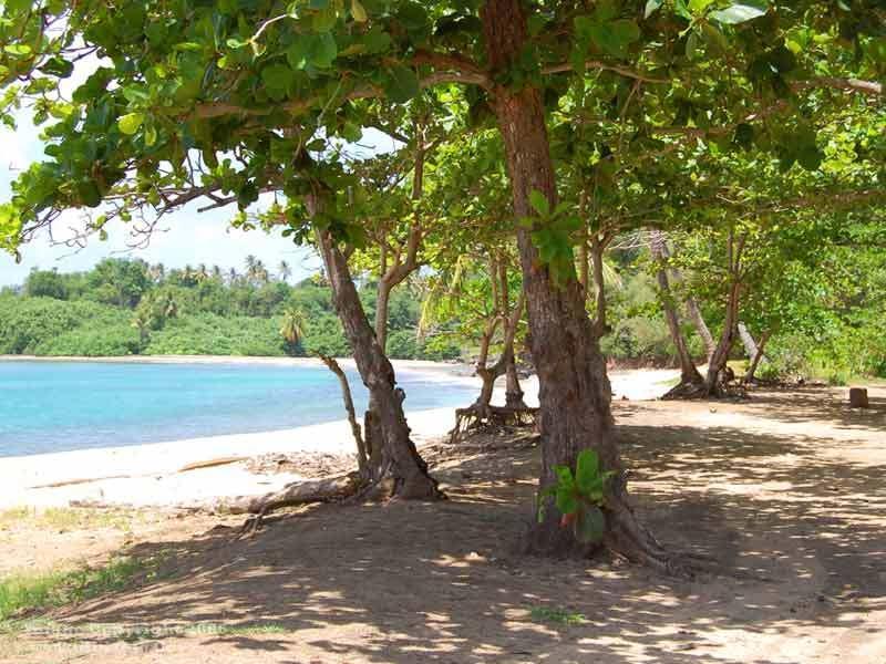 Hotel Calibishie Cove Esterno foto