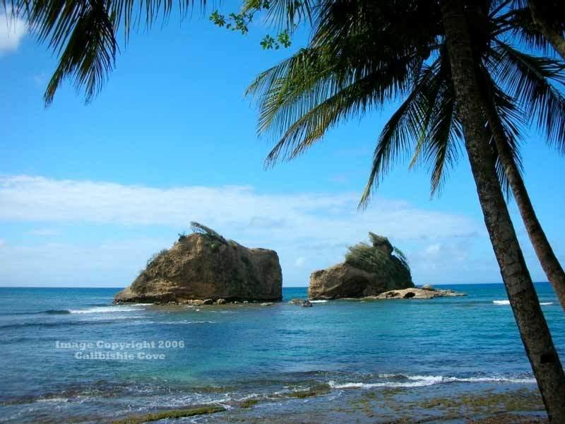 Hotel Calibishie Cove Esterno foto
